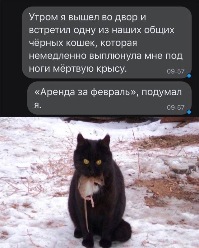 С добрым утром