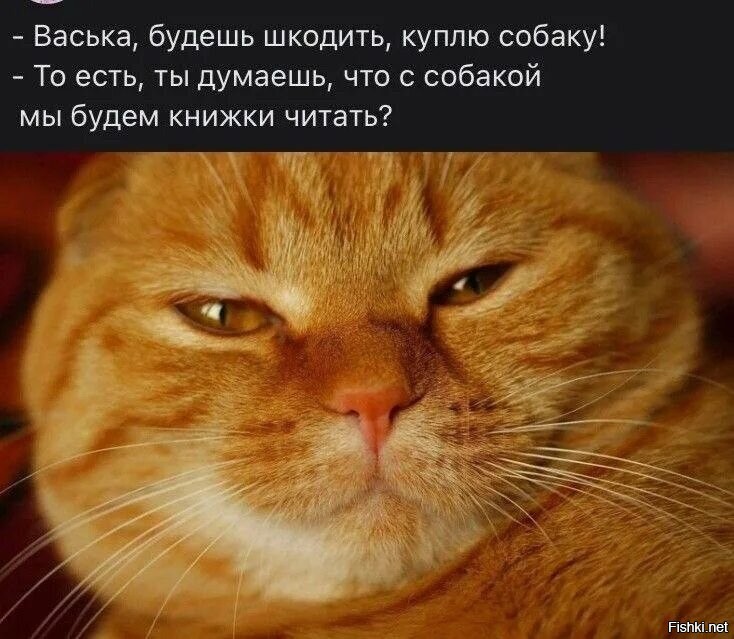 Нежности)