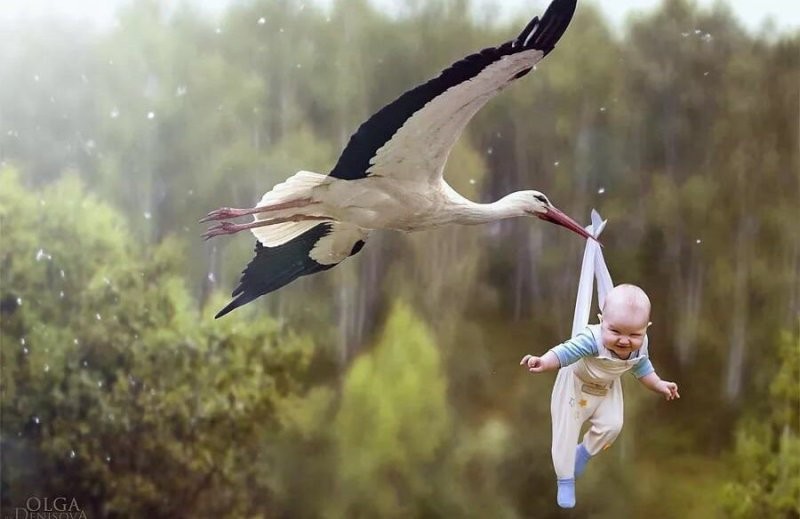 Солянка от 02.03.2026