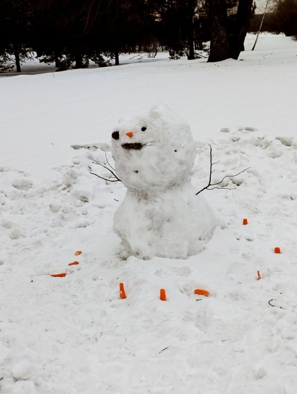 А это красноярские...