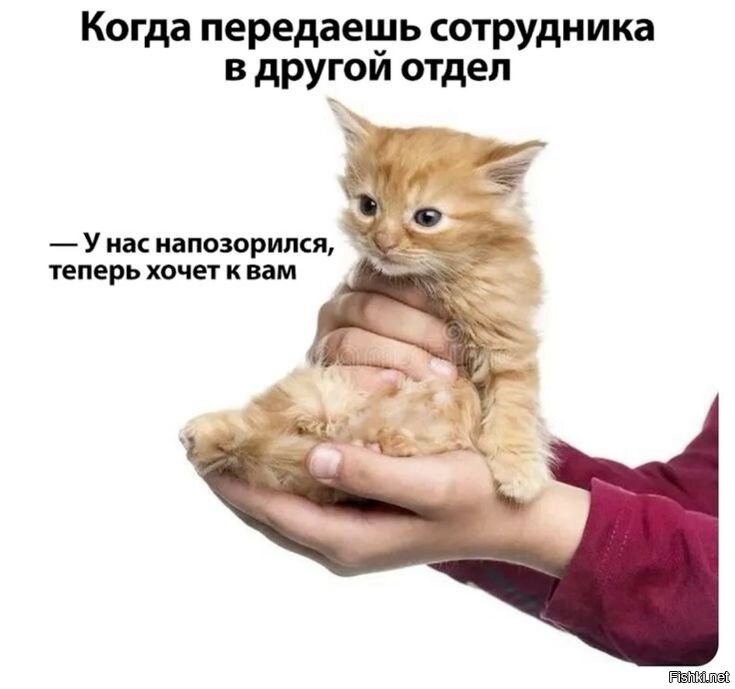 Солянка от 03.03.2026