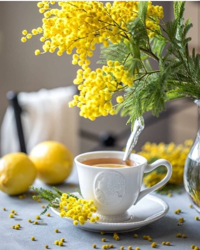 С добрым утром