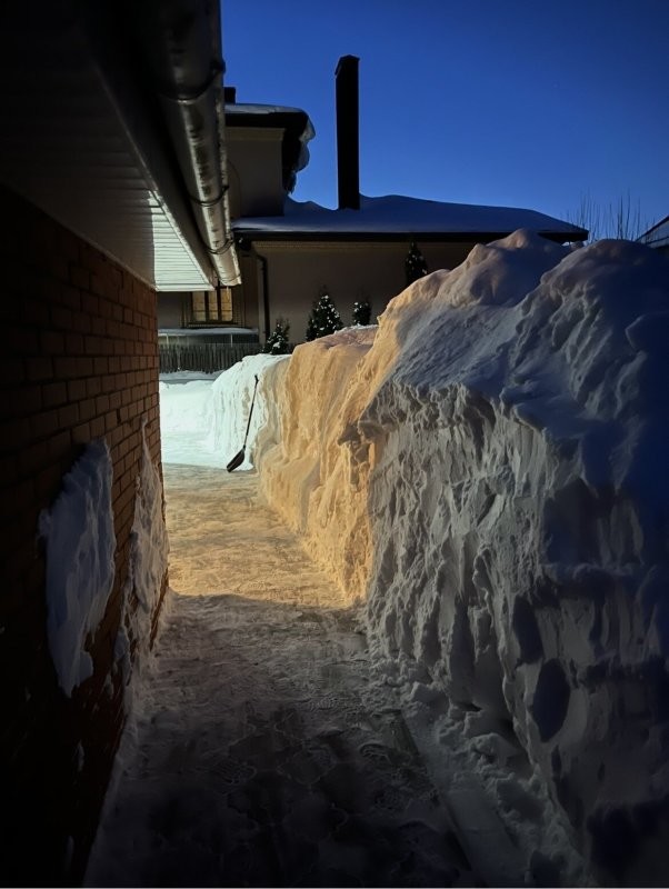 Перелетные птицы удивлены и обескуражены увиденным. К выходным обещают ниже 30. Зима решила уходя, очень сильно хлопнуть дверью.