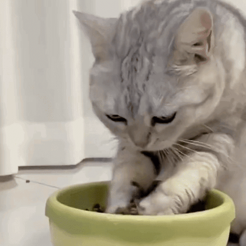 После обеда поговорим