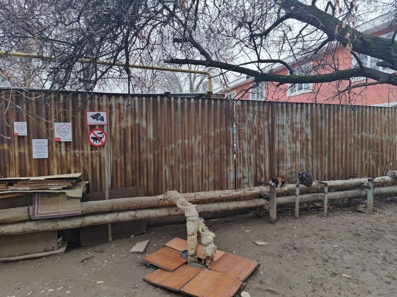 Там же знак, кошек не гладить)