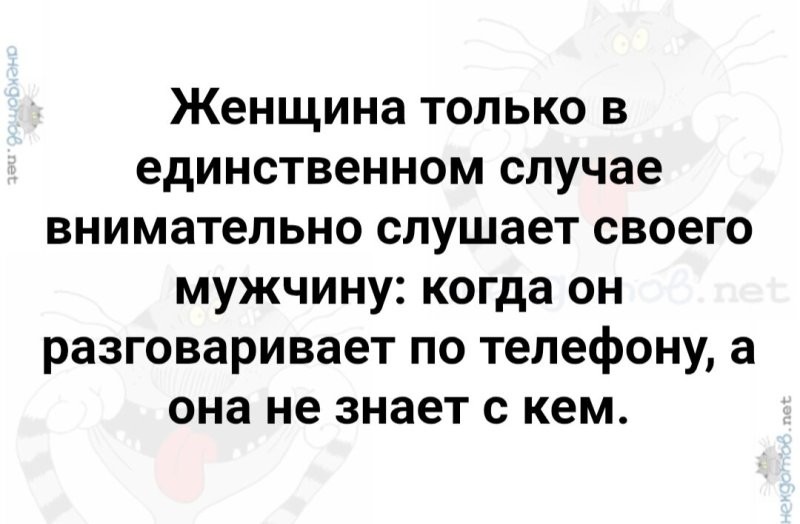 Солянка от 07.03.2026