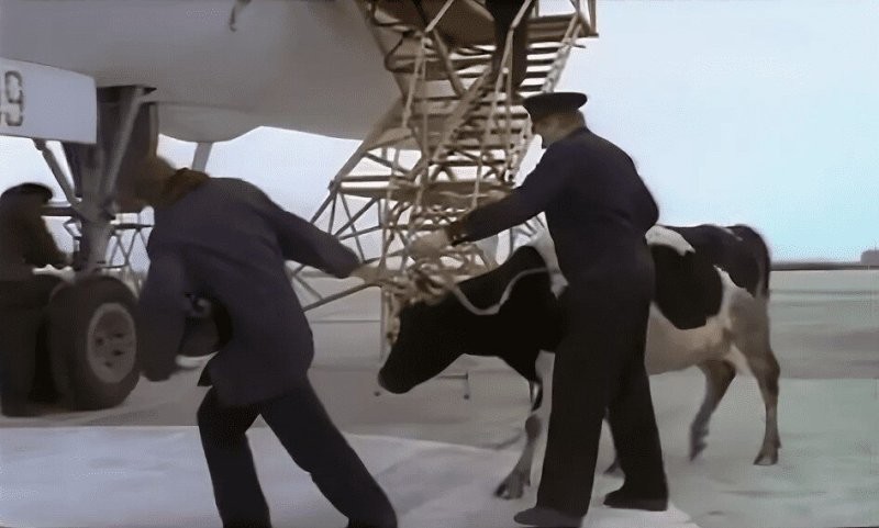 Жалкая пародия. Вот неповторимый оригинал.