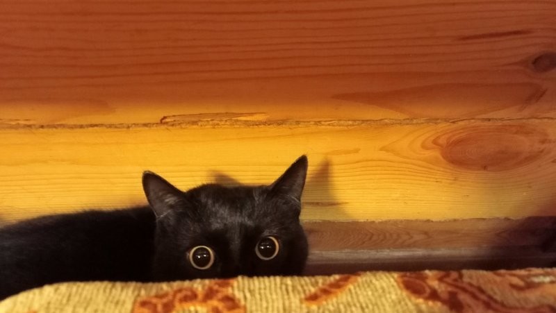 Неть!!!