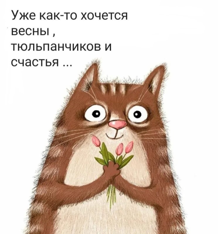 Солянка от 08.03.2026