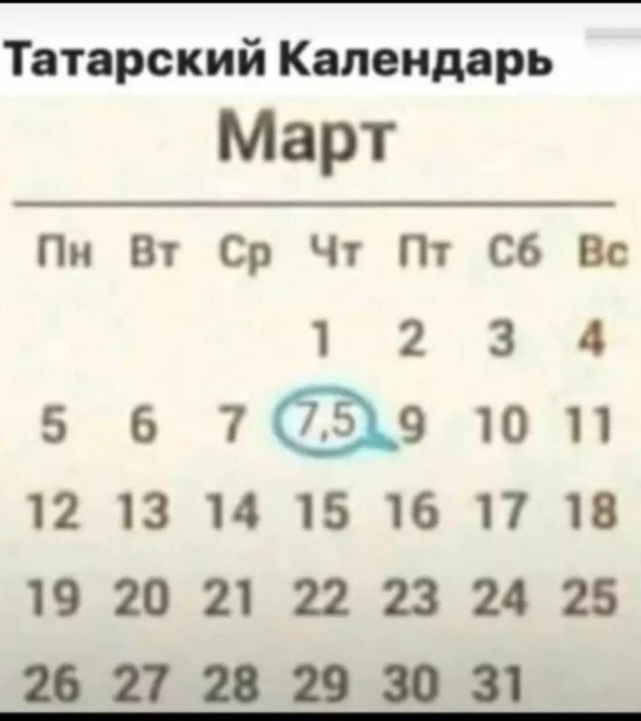 Солянка от 08.03.2026