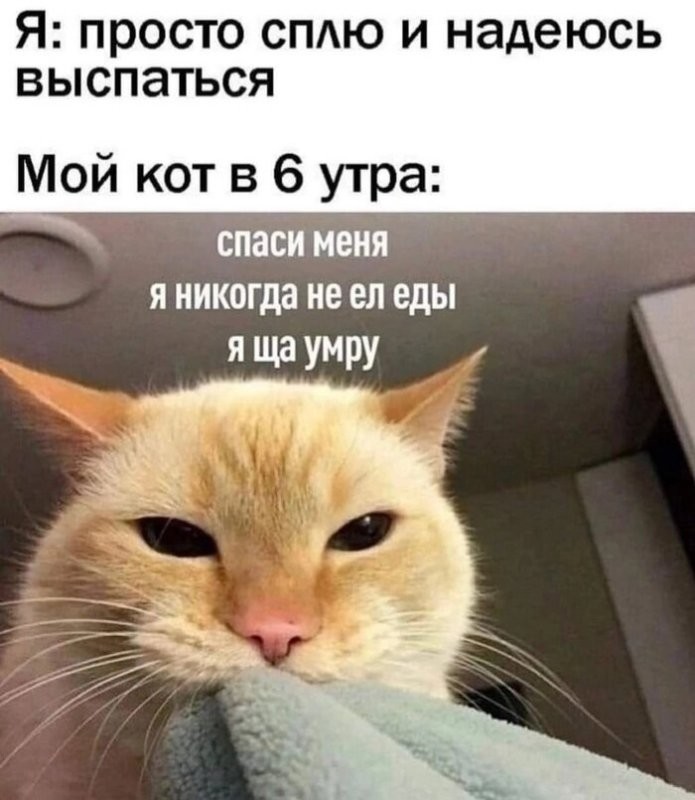 Доброе утро