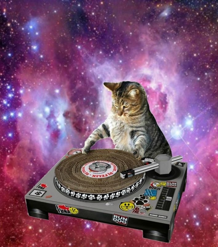 Низов добавь )