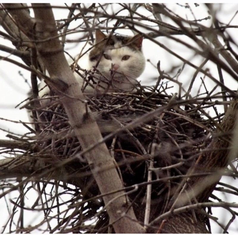Солянка от 09.03.2026