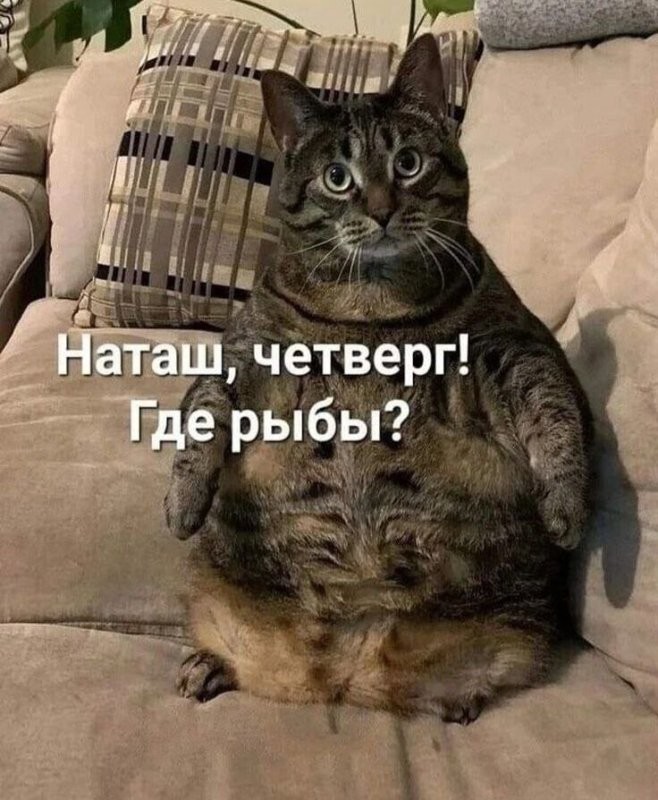 Как интересно скомпоновались картинки в ленте