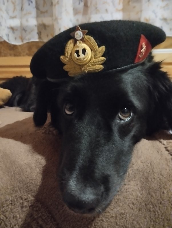 Это мой самый верный друг.