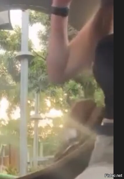 Солянка от 13.03.2026