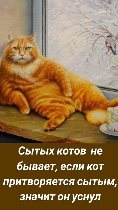 Солянка от 13.03.2026