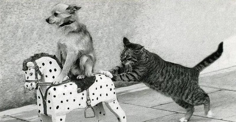 Солянка от 13.03.2026