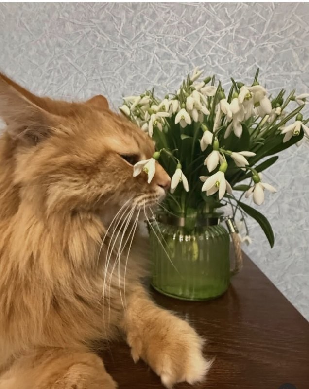 Солянка от 14.03.2026