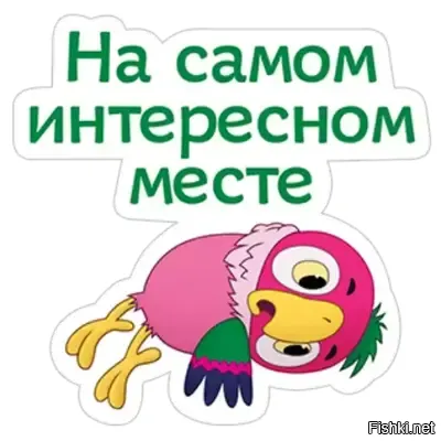 Солянка от 15.03.2026