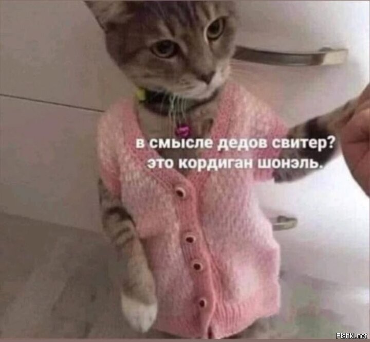 Солянка от 16.03.2026