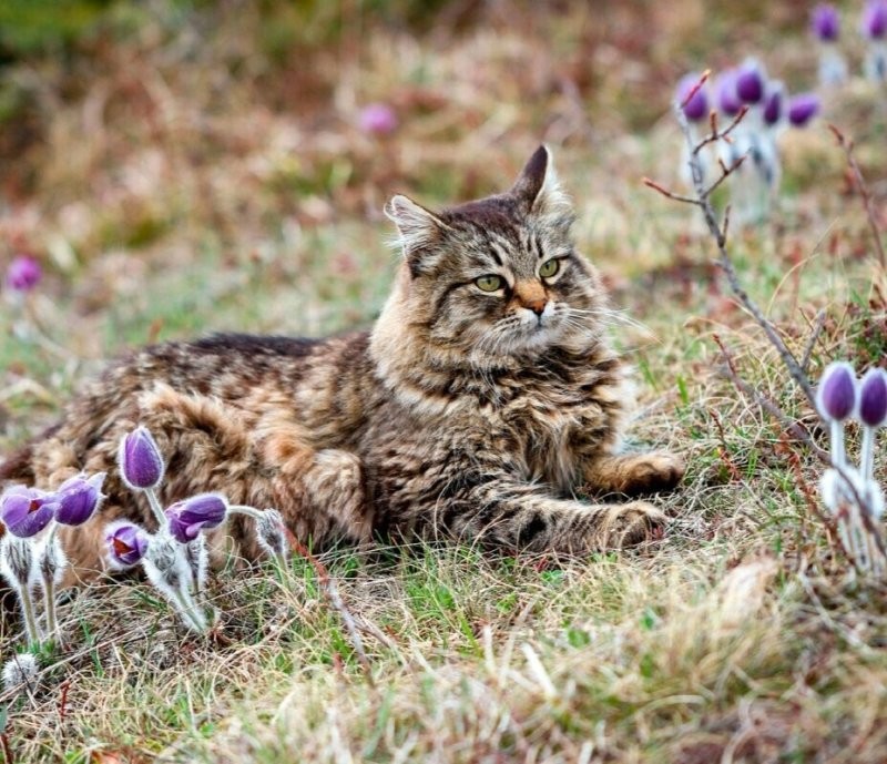 Солянка от 16.03.2026