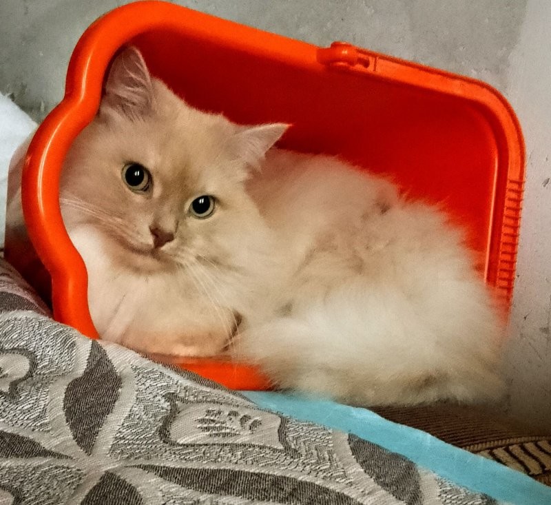 Доброго утра