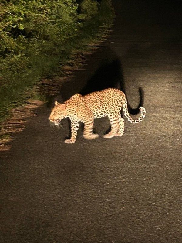 Солянка от 18.03.2026