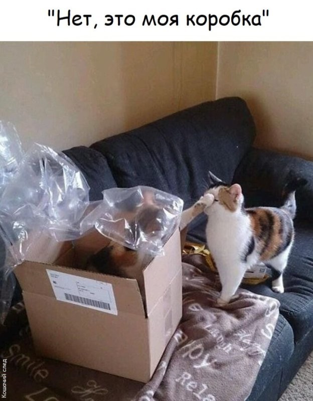 Солянка от 18.03.2026