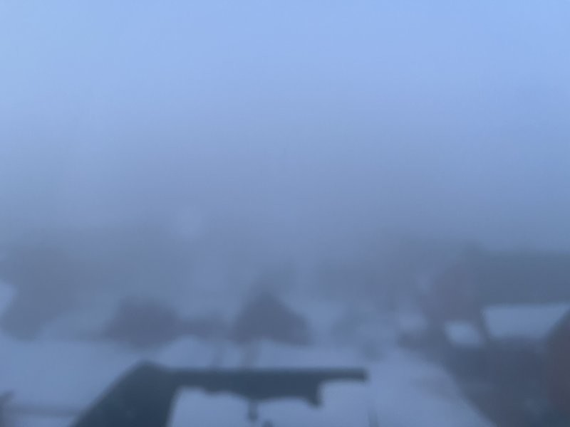 У нас сегодня туман решил поставить рекорд по густоте.