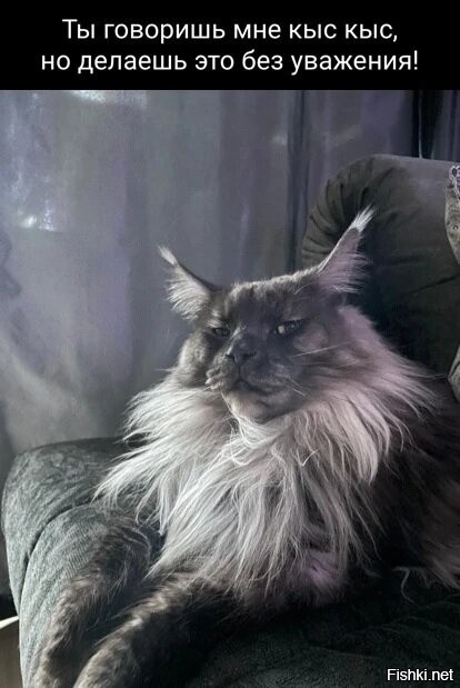 Солянка от 21.03.2026