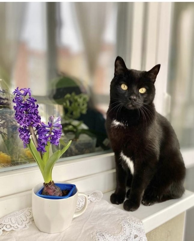 Солянка от 21.03.2026