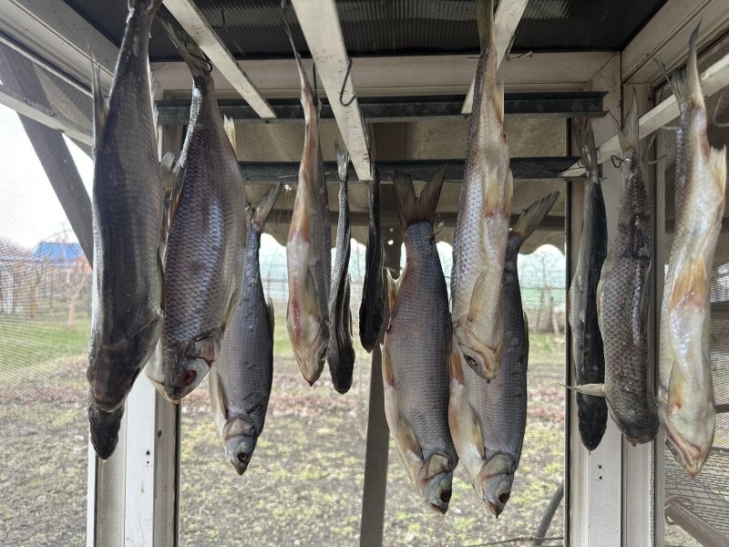 Солянка от 21.03.2026