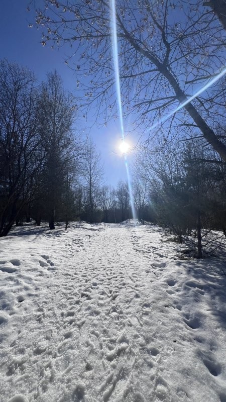 Солянка от 21.03.2026