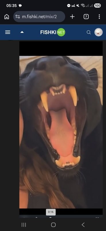 А что с верхними зубами? Я конечно не разбираюсь, но очень интересно