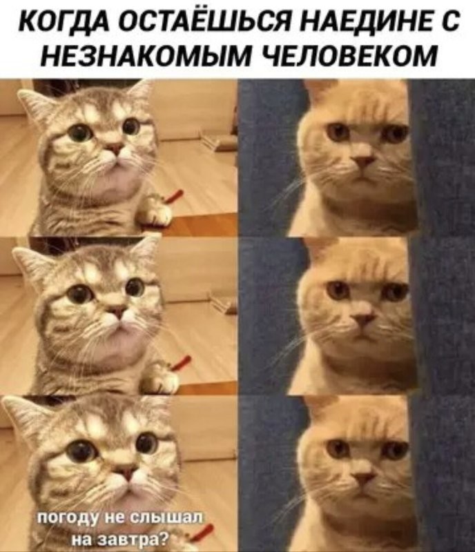 Доброго утра