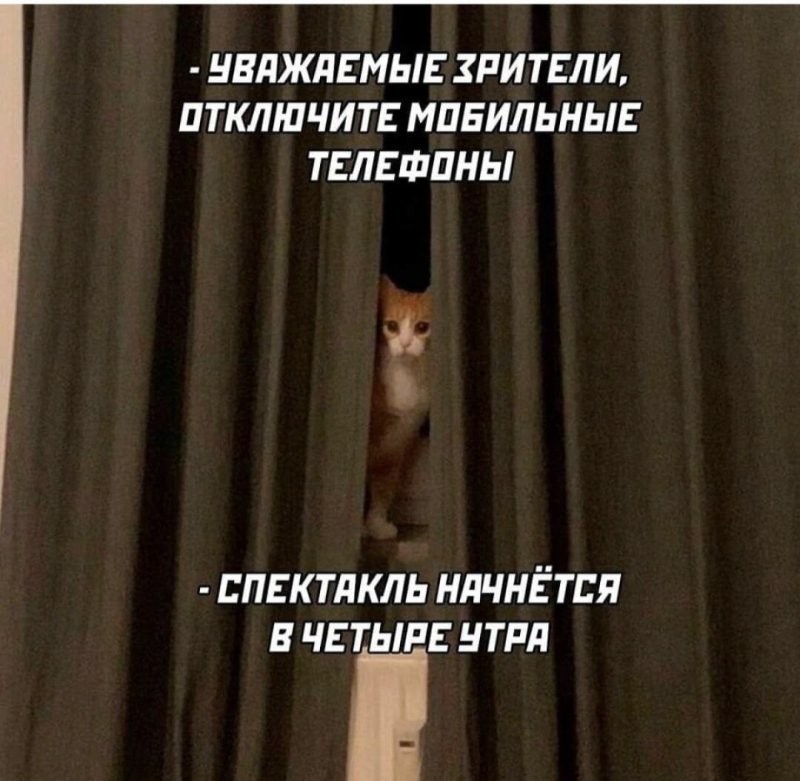 Солянка от 27.03.2026