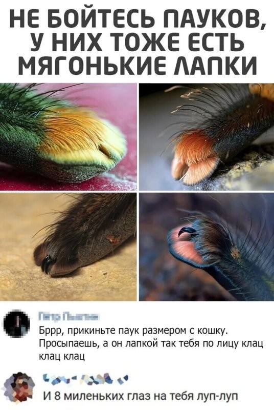 Солянка от 27.03.2026