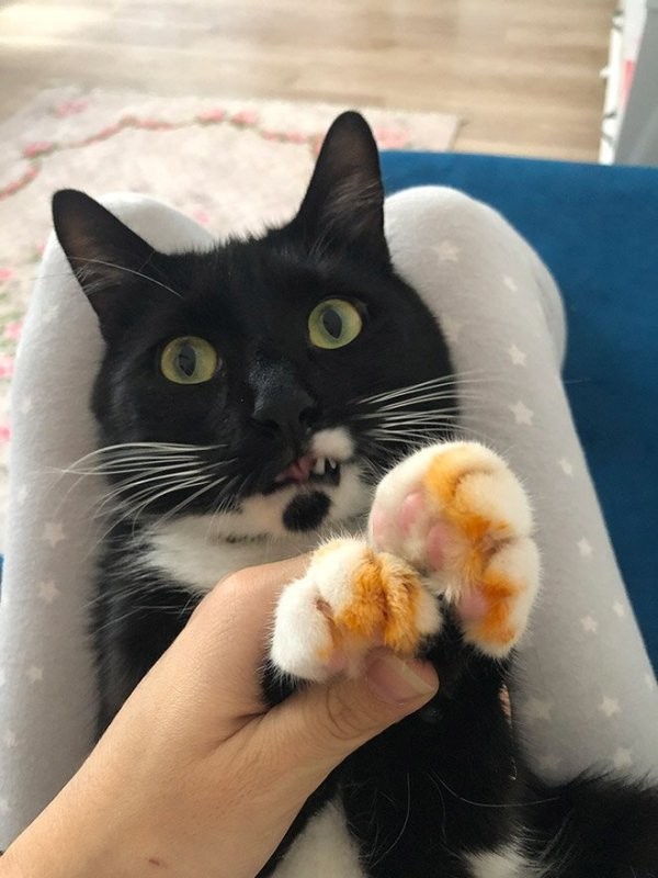 Солянка от 29.03.2026