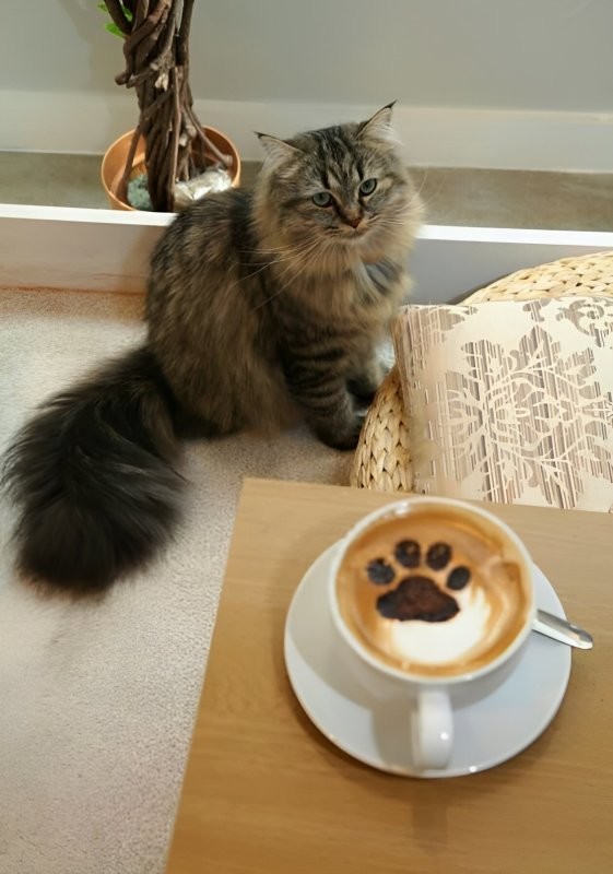 И к кофейным )