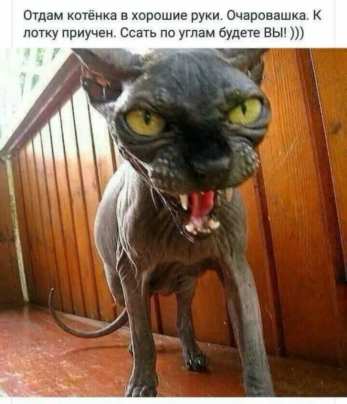 Солянка от 28.03.2026