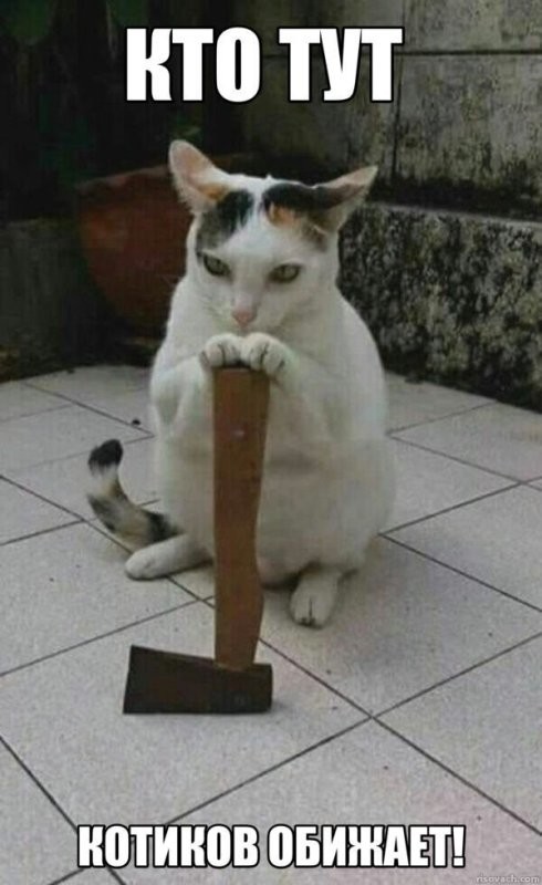 "Ууууйдииииии