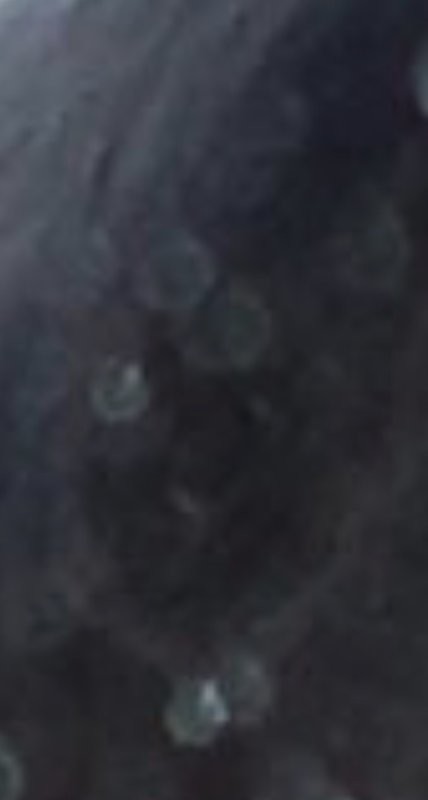 Солянка от 30.03.2026