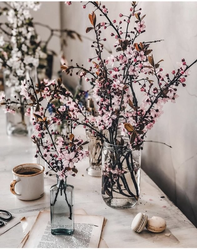 Доброго утра