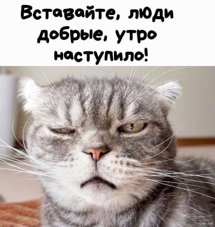 Доброго утра