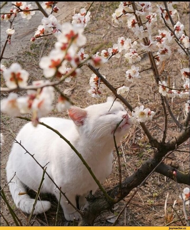 Солянка от 02.04.2026