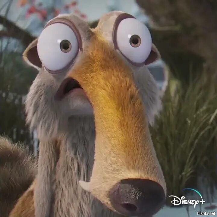 Солянка от 04.04.2026