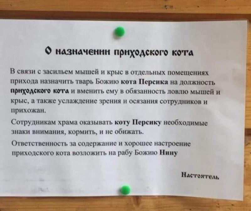 Батюшка в Севастополе, во время крещения куличей, первым делом освятил кота, ...