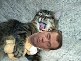 Не, "медвекот" это вот так, извините за мой "MS Paint". А на видео неведома зверушка, для поглаживания туристами.