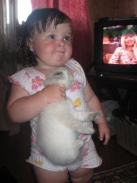 Немного не согласен с формулировкой, животное должно быть не у малыша, а у его родителей. Ребенок просто физически не сможет обеспечить правильный и должный уход или дрессуру животного, но то, что в семье должны быть питомцы это однозначно да.
Однако родителям стоит очень внимательно смотреть за тем как ребенок общается с животным, по своей натуре дети может и не жестоки, но любопытны, и вполне в исследовательском духе будет идея типа стукнуть животное и посмотреть на реакцию. реакция может быть разной, от побега с поджатым хвостом, до перекушенной глотки экспериментатора, вина в обоих случаях исключительно на родителях.
Кроме того, они в силу возраста не осознают ценность жизни другого существа, да и свою тоже.
Подобное должно сразу пресекаться. А подобного тому, что на картинке, вообще быть не должно и умиление родителей и желание сфоткать это просто недопустимо.